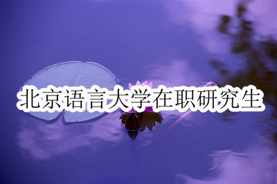 北京语言大学在职研究生