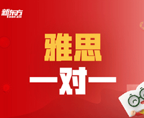 雅思培训学历提升有用吗？